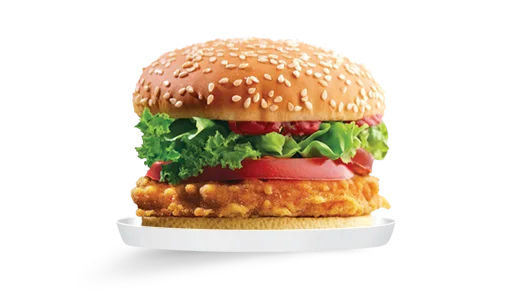 Burger Patties