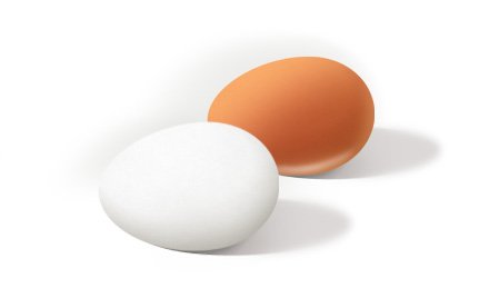 Eggs